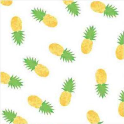 Party Like a Pineapple 5 x 11 inch Cellophane Bags