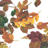 Fall Leaves Cello Roll 24 x 50