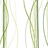 Green Wavelength Cellophane Roll 24 x 100