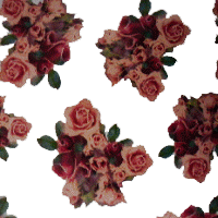 Gypsy Roses Cellophane Roll 24 x 100