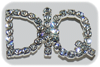 DIQ Jeweled Pin