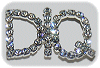 DIQ Jeweled Pin