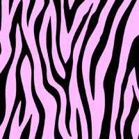 Zebra Pink and Black Cellophane Roll 24 x 100
