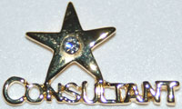 Pin Star Consultant