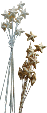 Stars Glittered on a stem