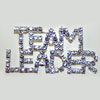 Pin Team Leader