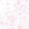 Pink Sprinkles Cellophane Roll 24 x 100