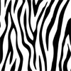 Most Modern Gift Wrapping Paper Zebra