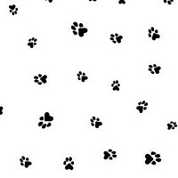 Paw Prints